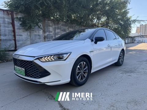 2023 BYD Qin PLUS DM-i Champion Edition 1.5L 55km Leading Edition