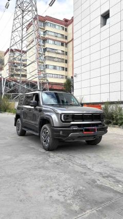 Beijing Off-RoadBJ40 Edition 2.0T Version - photo 3