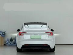 Tesla Model 3 606km Rear-Wheel Drive Edition - photo 8