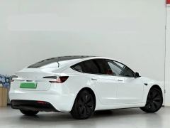 Tesla Model 3 606km Rear-Wheel Drive Edition - photo 9