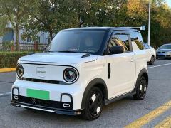 Geely Panda 200km Panda Kart - photo 1