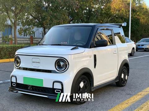 2024 Geely Panda 200km Panda Kart - car from China