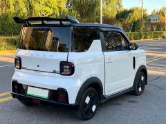 Geely Panda 200km Panda Kart - photo 12