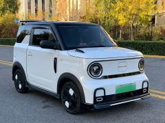 Geely Panda 200km Panda Kart - photo 3