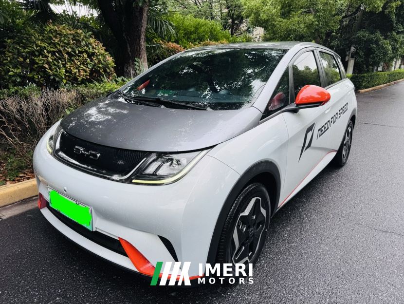 BYD Dolphin 520km Knight Edition - car from China
