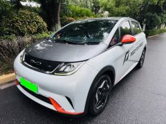 BYD Dolphin 520km Knight Edition - photo 1