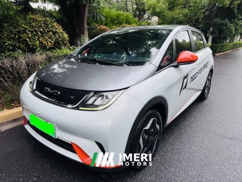 2025 BYD Dolphin 520km Knight Edition - car from China