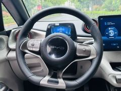 BYD Dolphin 520km Knight Edition - photo 11