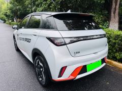 BYD Dolphin 520km Knight Edition - photo 12