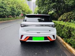 BYD Dolphin 520km Knight Edition - photo 13