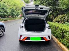 BYD Dolphin 520km Knight Edition - photo 15