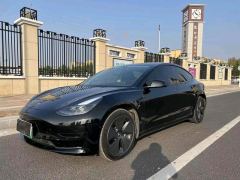 Tesla Model 3 556km Rear-Wheel Drive Edition - ფოტო 1