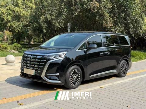 2024 Denza D9 DM-i 1.5T 103km Luxury Version 7 - ავტომობილი ჩინეთიდან