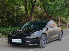 Tesla Model 3 556km Rear-Wheel Drive Edition - фото 1