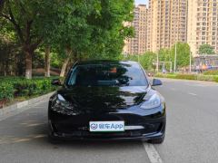 Tesla Model 3 556km Rear-Wheel Drive Edition - фото 2