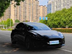Tesla Model 3 556km Rear-Wheel Drive Edition - фото 3