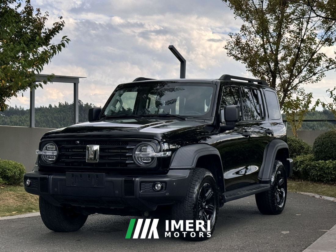 Tank 300 Off-Road Edition 2.0T Conqueror - ავტომობილი ჩინეთიდან