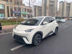 BYD Seagull Honor Edition 405km Flying Edition - ფოტო 1