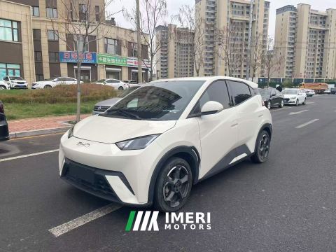 2024 BYD Seagull Honor Edition 405km Flying Edition - ავტომობილი ჩინეთიდან