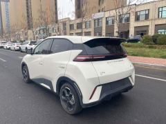 BYD Seagull Honor Edition 405km Flying Edition - ფოტო 7