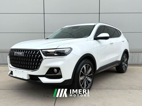 2023 Haval H6 Guochao Edition 1.5T 2WD Champion Edition - ავტომობილი ჩინეთიდან