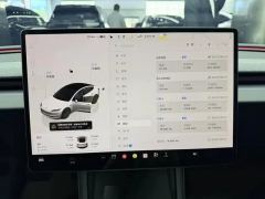Tesla Model 3 830km Long Range Rear-Wheel Drive - ფოტო 11