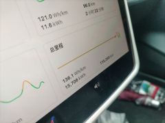 Tesla Model 3 556km Rear-Wheel Drive Edition - photo 13