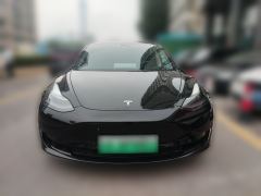 Tesla Model 3 556km Rear-Wheel Drive Edition - photo 2