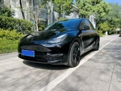 Tesla Model Y Standard endurance rear-wheel drive - ფოტო 1
