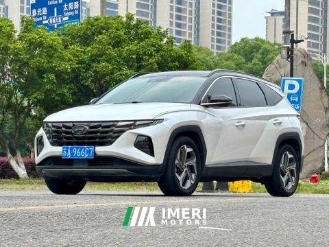 2021 Hyundai Tucson L 1.5T Double Clutch Premium Edition - ავტომობილი ჩინეთიდან