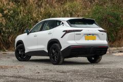 Jetour Jietu Dasheng 1.5T Double Clutch Deluxe Edition - фото 15