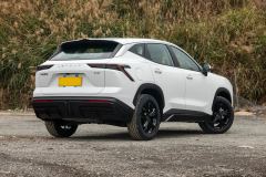 Jetour Jietu Dasheng 1.5T Double Clutch Deluxe Edition - фото 16
