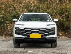 Jetour Jietu Dasheng 1.5T Double Clutch Deluxe Edition - фото 2