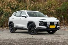 Jetour Jietu Dasheng 1.5T Double Clutch Deluxe Edition - фото 3