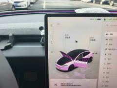 Tesla Model 3 606km Rear-Wheel Drive Edition - фото 19