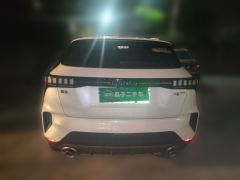 Lynk & Co 06 EM-P 1.5T 84km Pro - photo 3