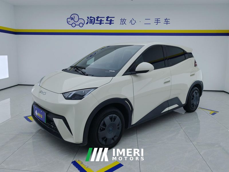 BYD Seagull 305km Vitality Edition - ავტომობილი ჩინეთიდან