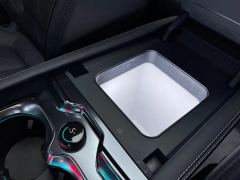 Fangchengbao Leopard 5 1.5T 125km Smart DriveMax Edition - ფოტო 18