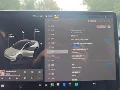 Tesla Model Y Standard Range RWD - фото 4