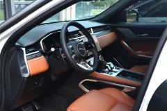 Jaguar F-PACE P250 R-Dynamic BLACK - ფოტო 2
