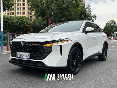 2022 Venucia Big V 2022 260T Dark Horse Edition Idol - ავტომობილი ჩინეთიდან