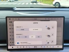 Voyah Dreamer Edition 1.5T 235km AWD Edition - photo 16