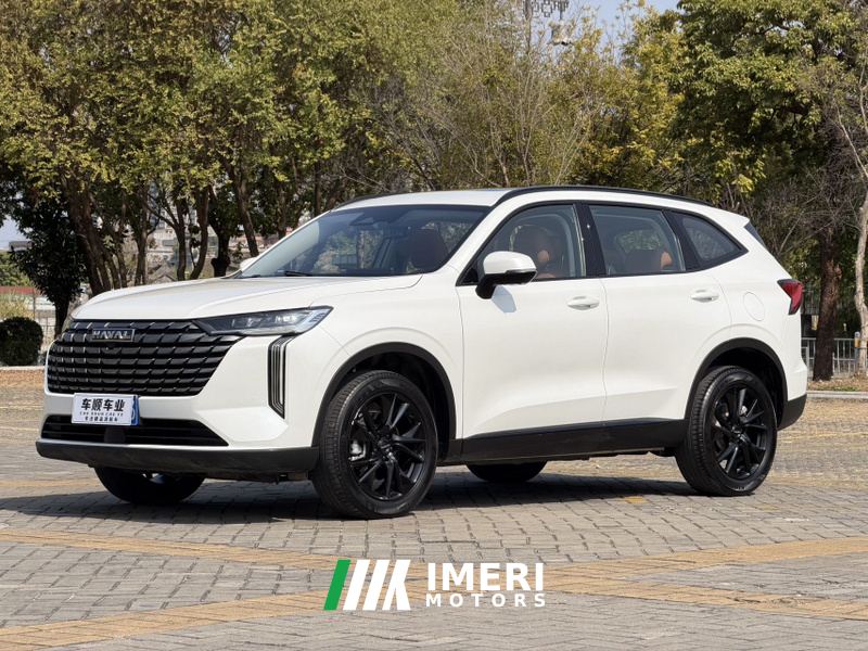 Haval H6 2.0T AWD Max - car from China