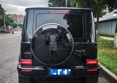 Mercedes-Benz G Class G-Class G 350 - ფოტო 5