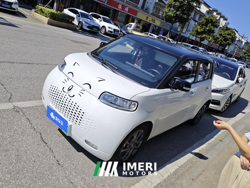 Ora White Cat Upgrade 305km Luxury Trim Ternary Lithium Battery