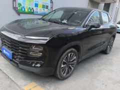 Jetour Dasheng 1.6T PRO - photo 1