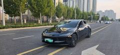 Tesla Model 3 606km Rear-Wheel Drive Edition - фото 1