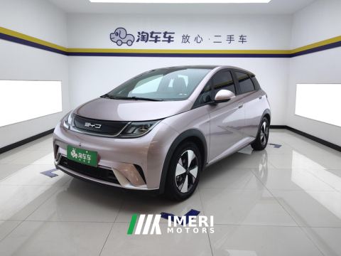 2023 BYD Dolphin 420km Stylish Edition - ავტომობილი ჩინეთიდან