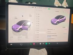 Tesla Model Y 545km Rear-Wheel Drive Edition - ფოტო 20
