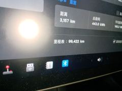 Tesla Model 3 Standard Range Edition 3D6 - photo 13